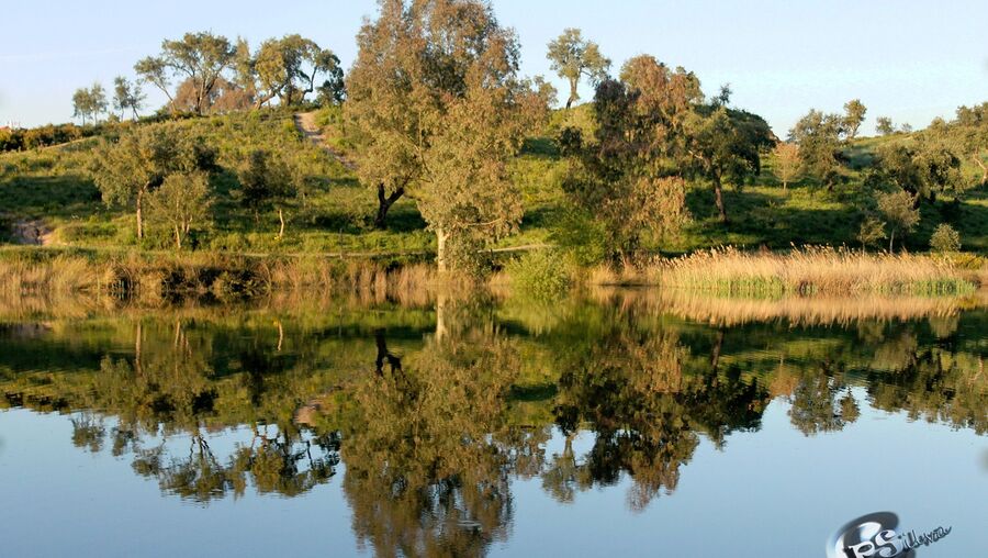 Barragem dos Patudos, Alpiarça, Santarém