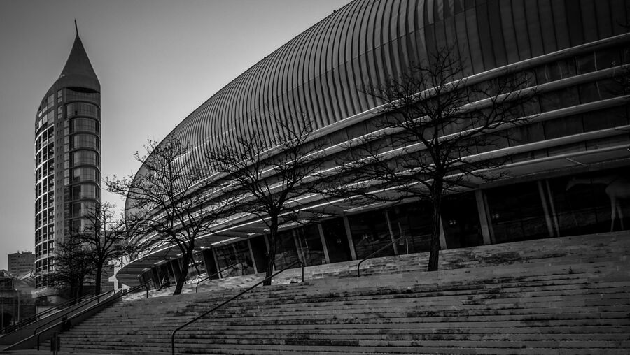 geração arte, fotografia, Nuno Cruz