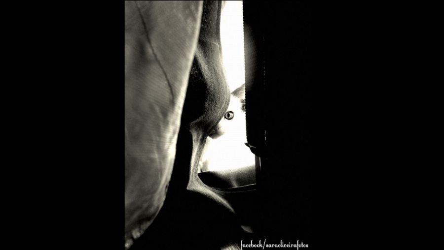 geração arte, fotografia, Sara de Oliveira