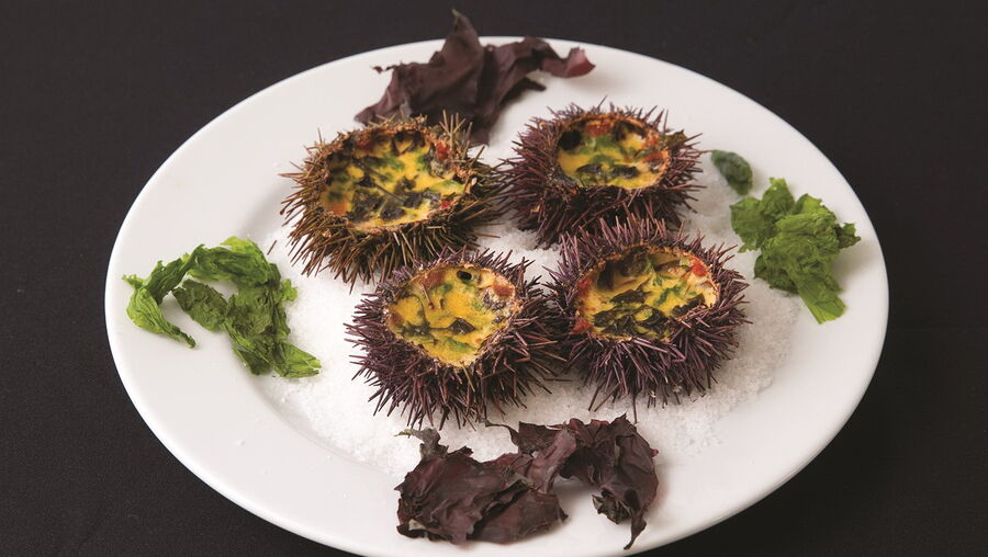 Mexido de ouriço com algas