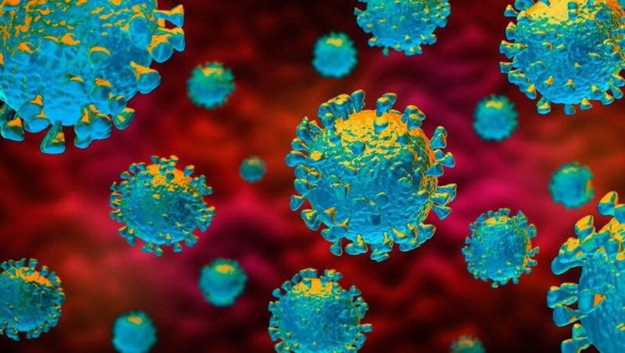 coronavirus