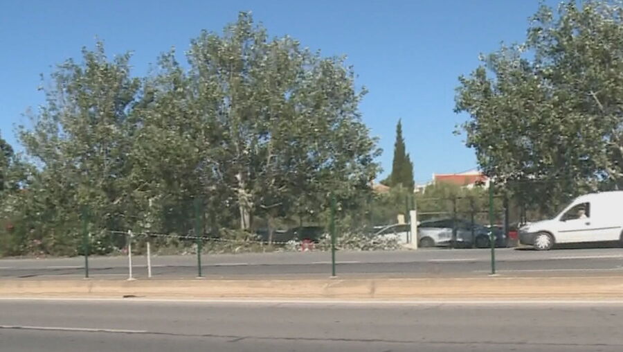  Dois jovens morrem em despiste de carro junto ao Aeroporto de Faro